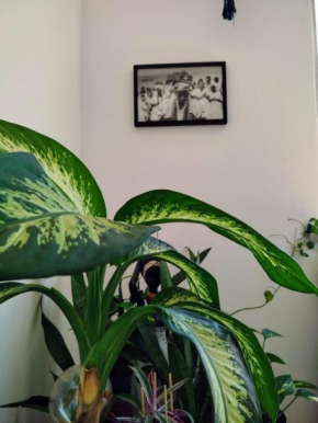 Apartamento confortável no Rio Vermelho